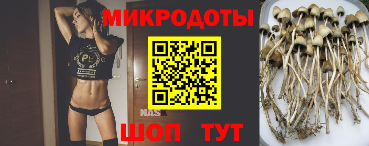 Галлюциногенные грибы Cubensis  наркошоп  Славгород  Вход с VPN  Галлюциногенные грибы прущие грибы 
